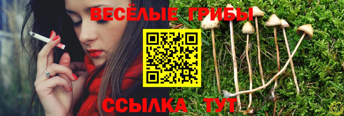 Псилоцибиновые грибы мухоморы Тобольск