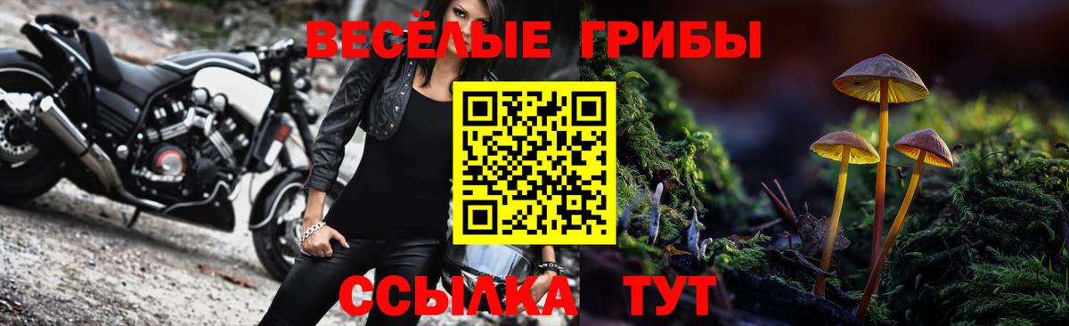 Псилоцибиновые грибы Magic Shrooms  Вход с VPN  Тобольск  Галлюциногенные грибы Psilocybe 